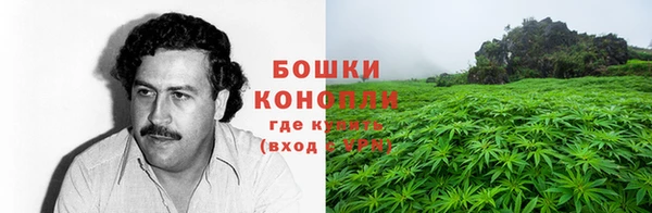 прущая мука Кодинск