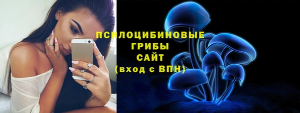 МДПВ Козловка